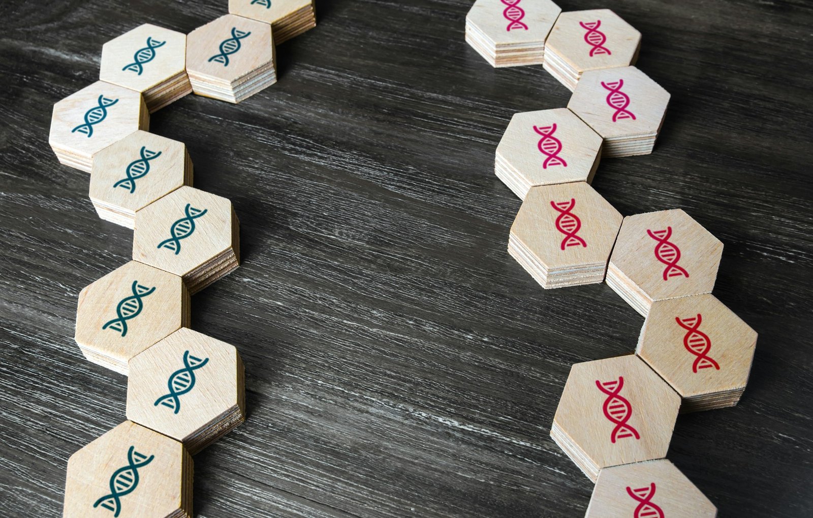 Un Voyage à Travers Notre Héritage Génétique: Démystifier la Généalogie ADN